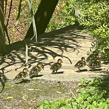 Am Stadtrand Im Gruenen * Zeuthen