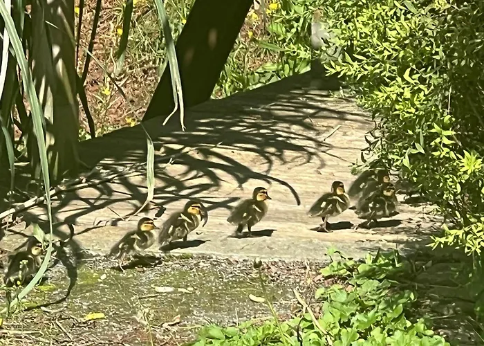 Am Stadtrand Im Grünen * Zeuthen